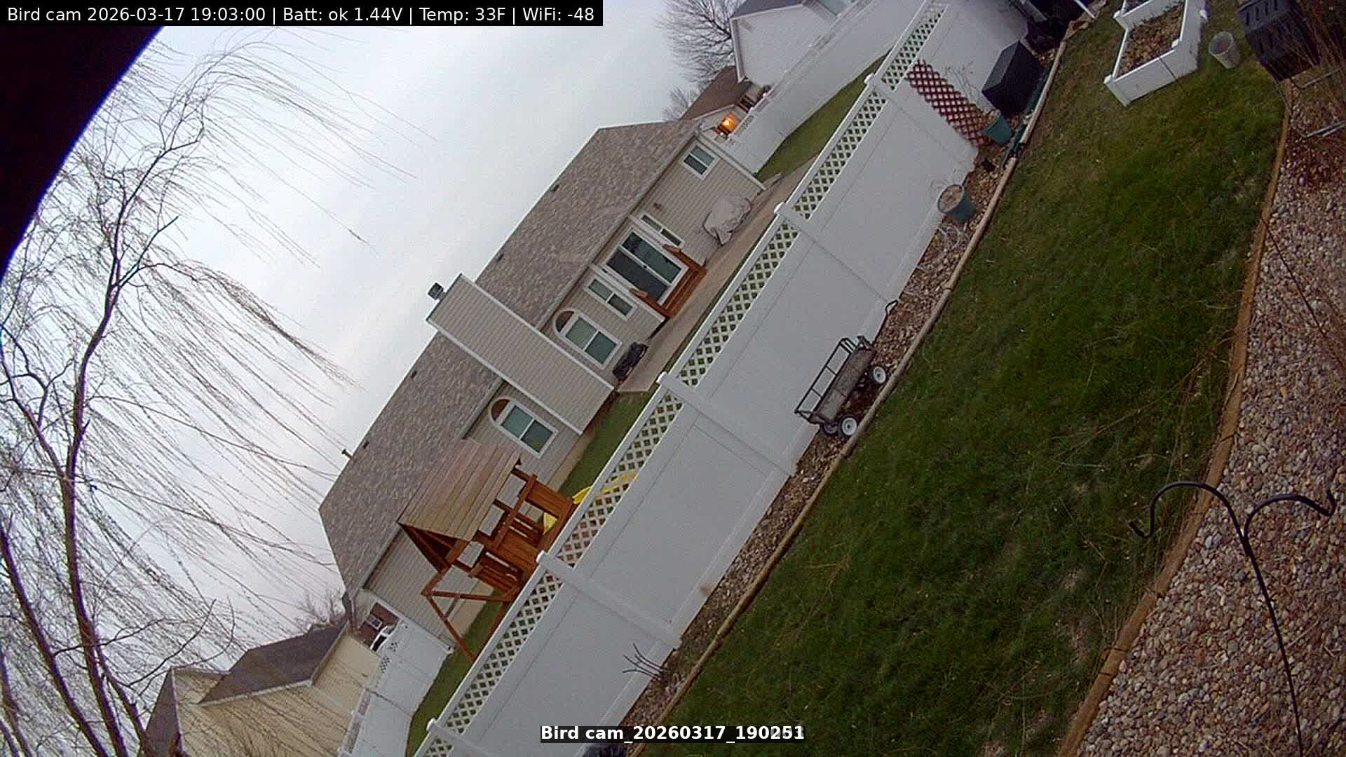 Bird cam