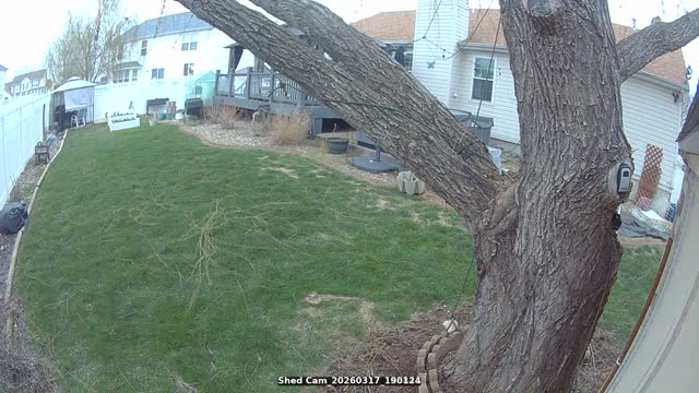 Shed Cam