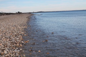 pic66.jpg