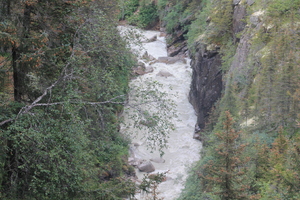 pic20.jpg