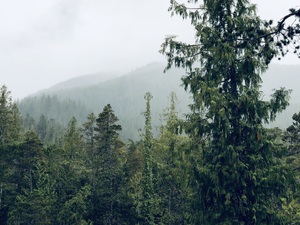 pic32.jpg