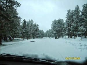 pic51.jpg