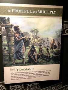 pic16.jpg