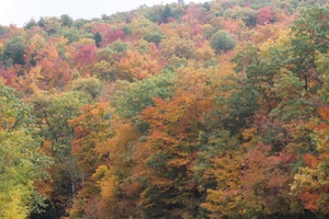 pic10.jpg