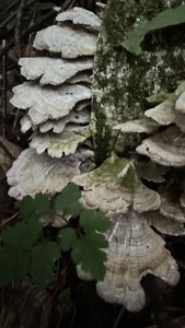 pic24.jpg