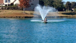 pic27.jpg