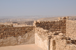 pic61.jpg