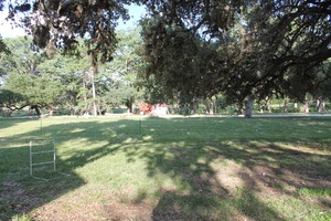 pic39.jpg