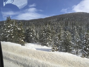 pic80.jpg