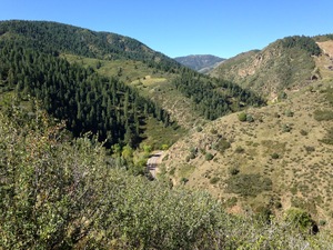 pic20.jpg