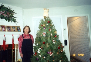 pic33.jpg