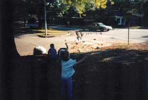 pic34.jpg