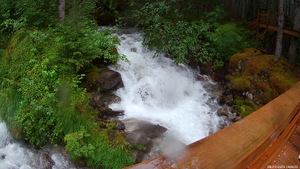 pic12.jpg